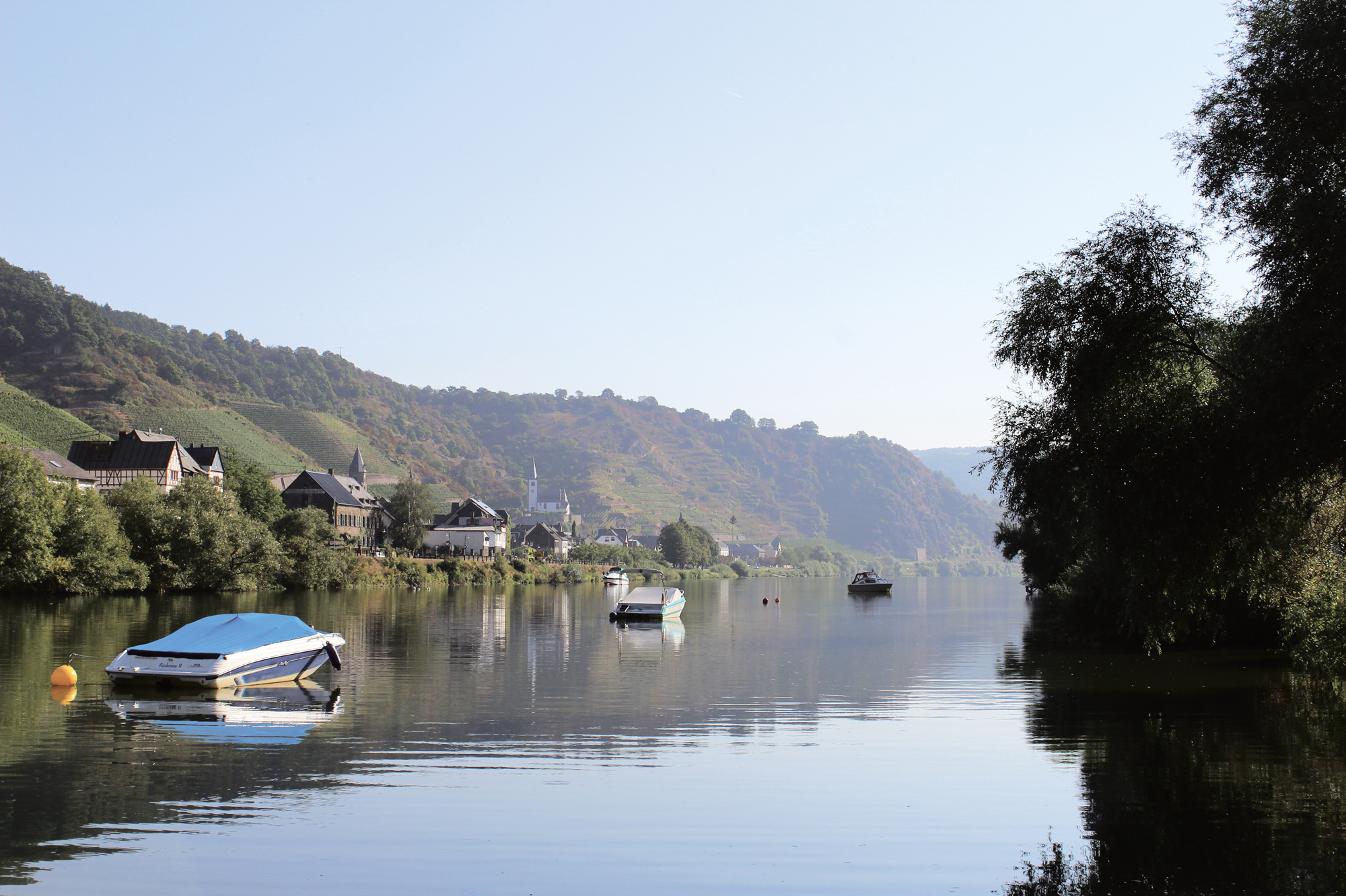 Campground Mosel - Vacation at Sonnenwerth island campground